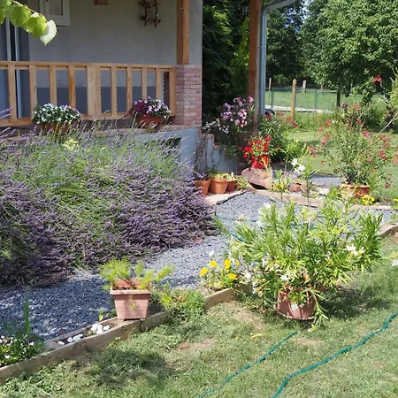 Illésék Portája * Mindszentkálla