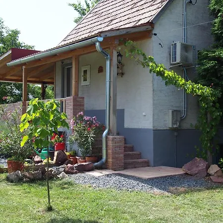 Illesek Portaja *